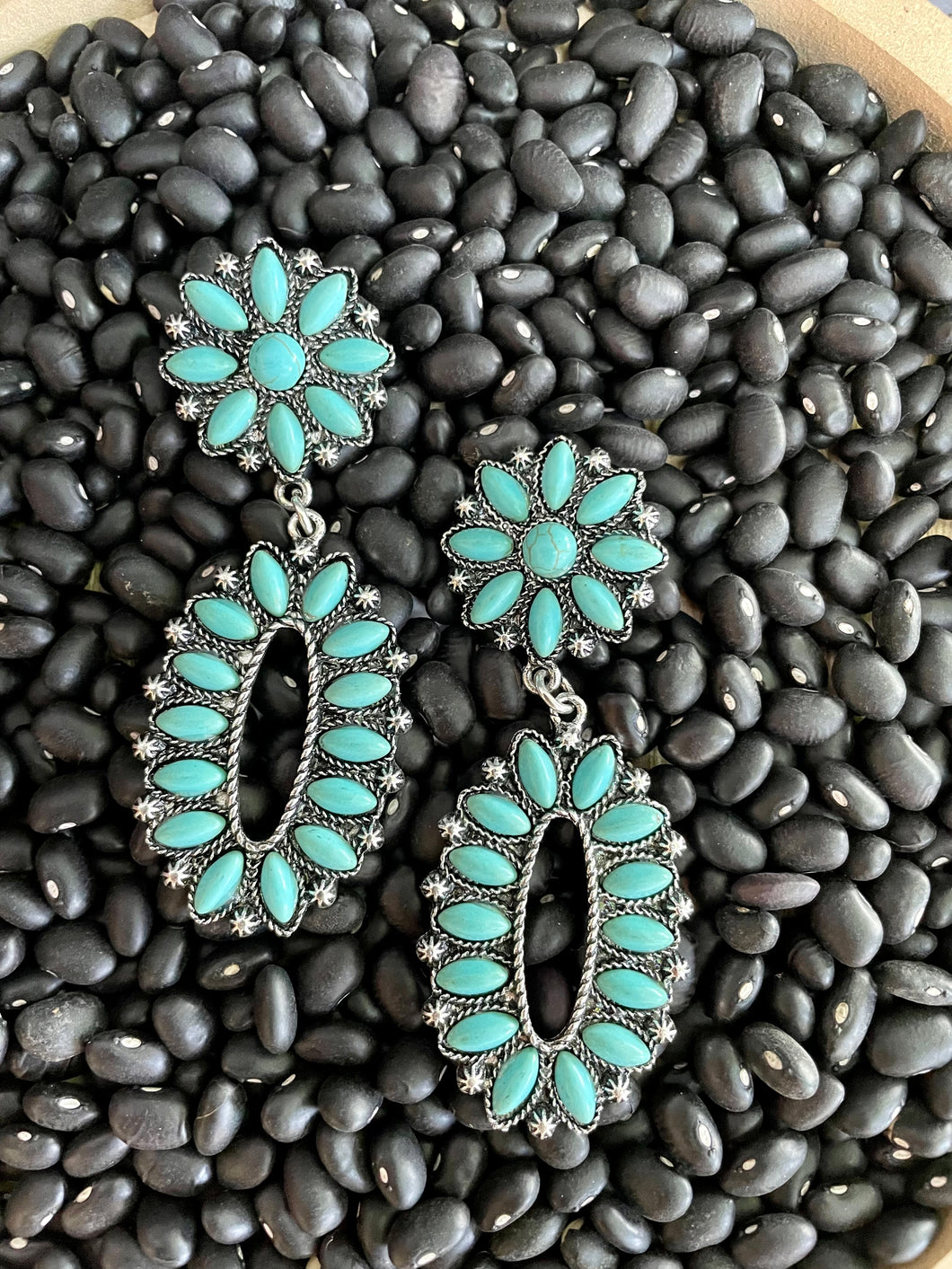 Western Earrings E