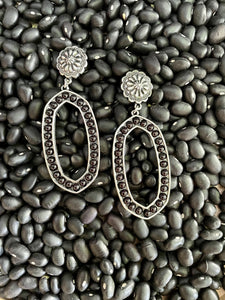 Western Earrings F