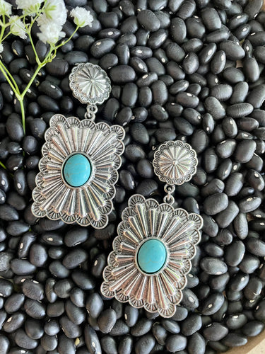 Western Earrings D