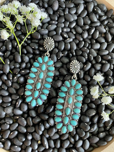 Western Earrings B