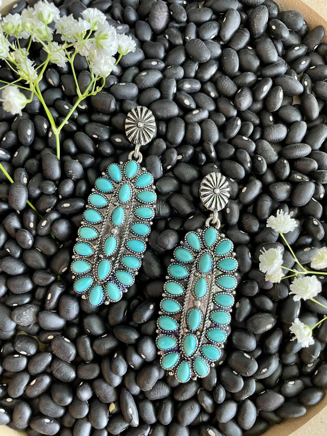 Western Earrings B